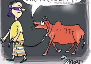 গজারিয়ায় বেড়েছে গরু চুরি: আতংক পরিবারে