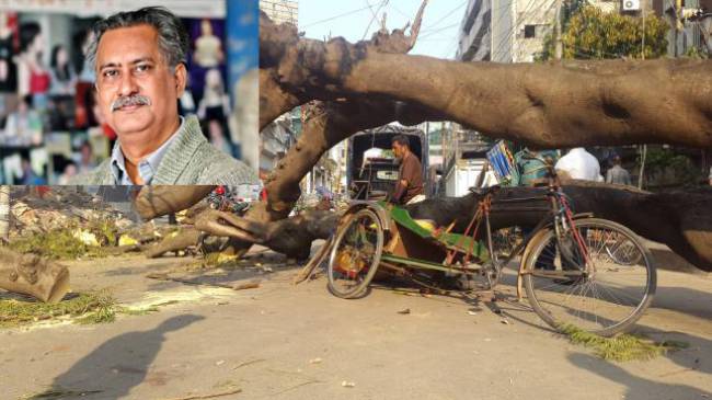 চলচ্চিত্র নির্মাতা ও চিত্রশিল্পী খালিদ মাহমুদ মিঠু আর নেই