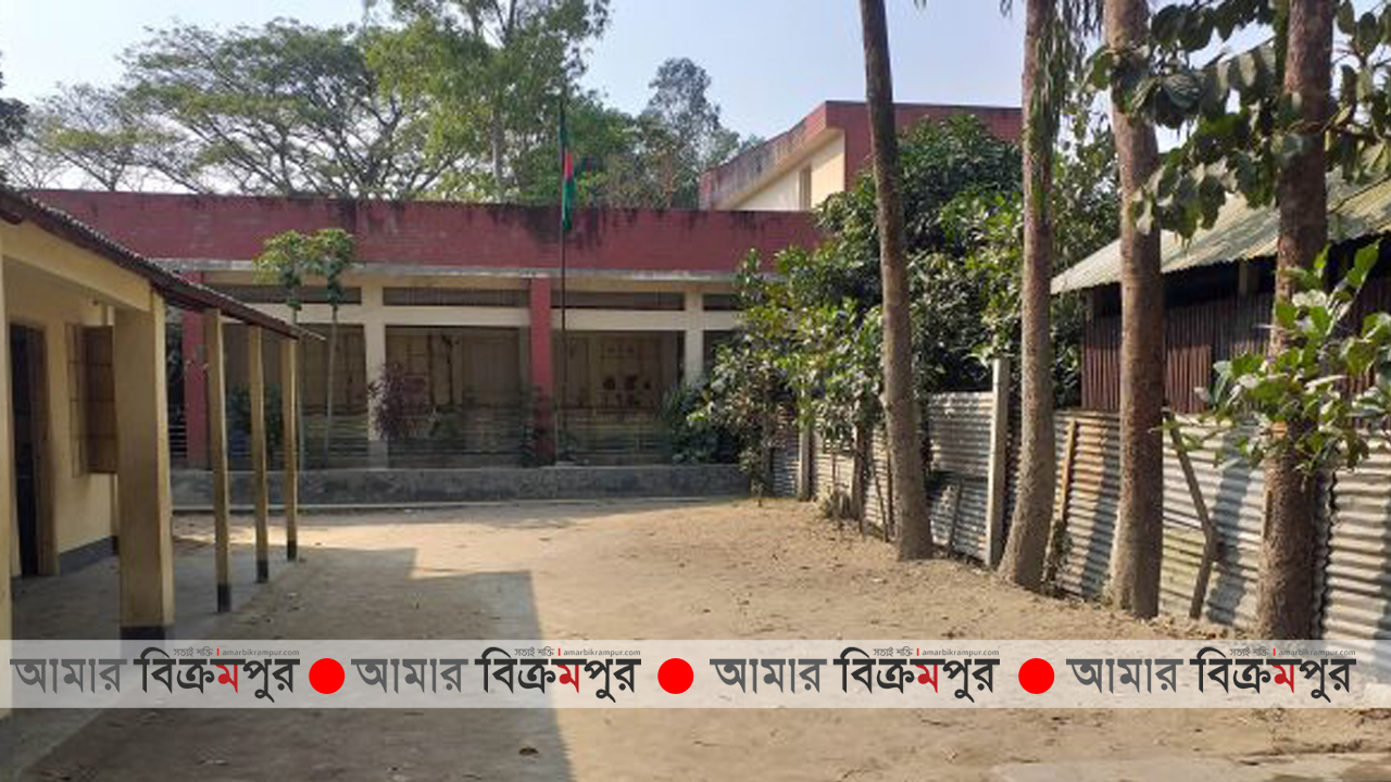 মুন্সিগঞ্জের টংগিবাড়ীতে ৭ মাসের শিশু প্রাথমিক বিদ্যালয়ের ছাত্রী!