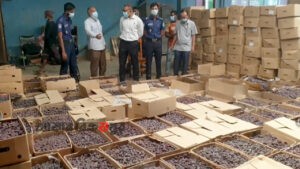 মুন্সিগঞ্জে কোল্ড স্টোরেজ থেকে বিপুল পরিমাণ খেজুর জব্দ