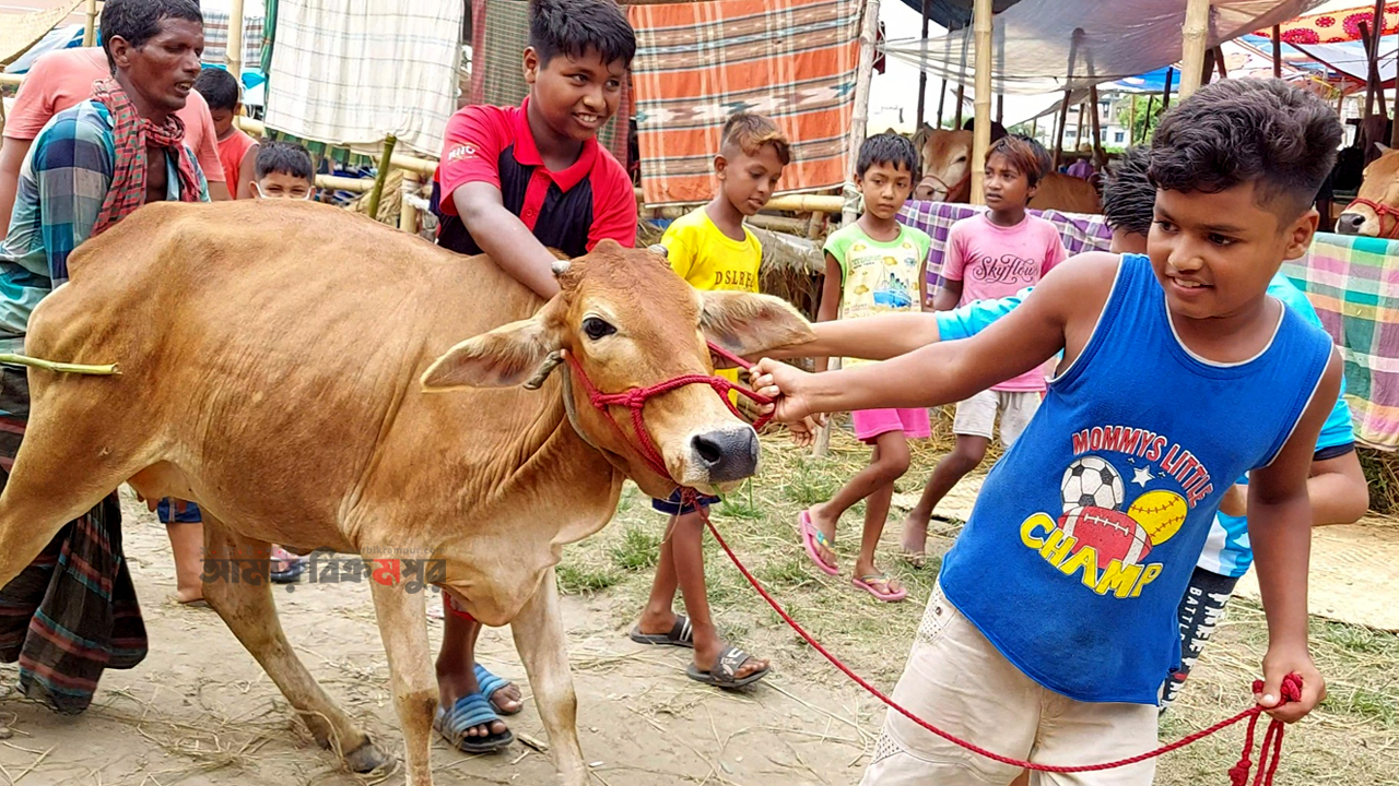 জমে উঠেছে মিরকাদিম আর এম সি মাঠের হাট