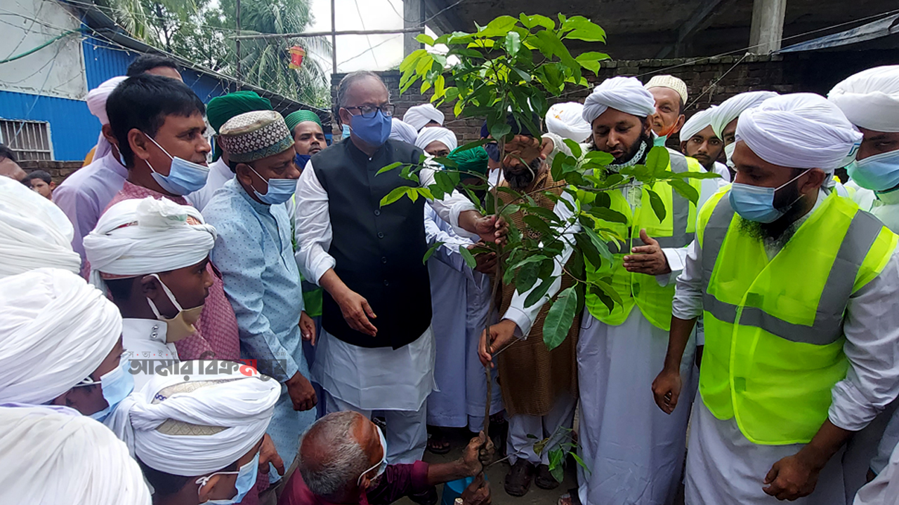 দাওয়াতে ইসলামীর মাসব্যাপী বৃক্ষরোপন কর্মসূচি উদ্বোধন