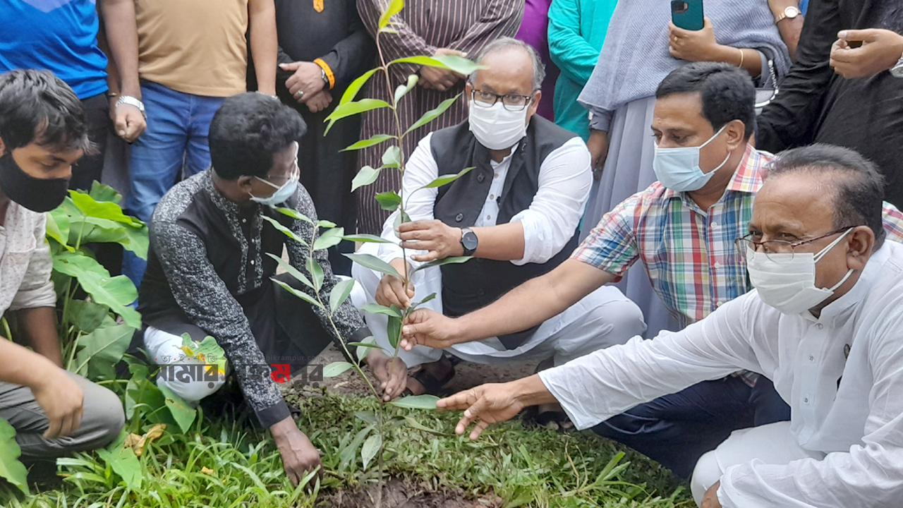 শোকাবহ আগস্টের প্রথম দিনে এমপির উদ্যোগে বৃক্ষরোপণ কর্মসূচি