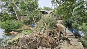 নিজেদের সুবিধার জন্য দিঘিতে বাঁধ, গাছ পড়ে ভাঙল বসত ঘর