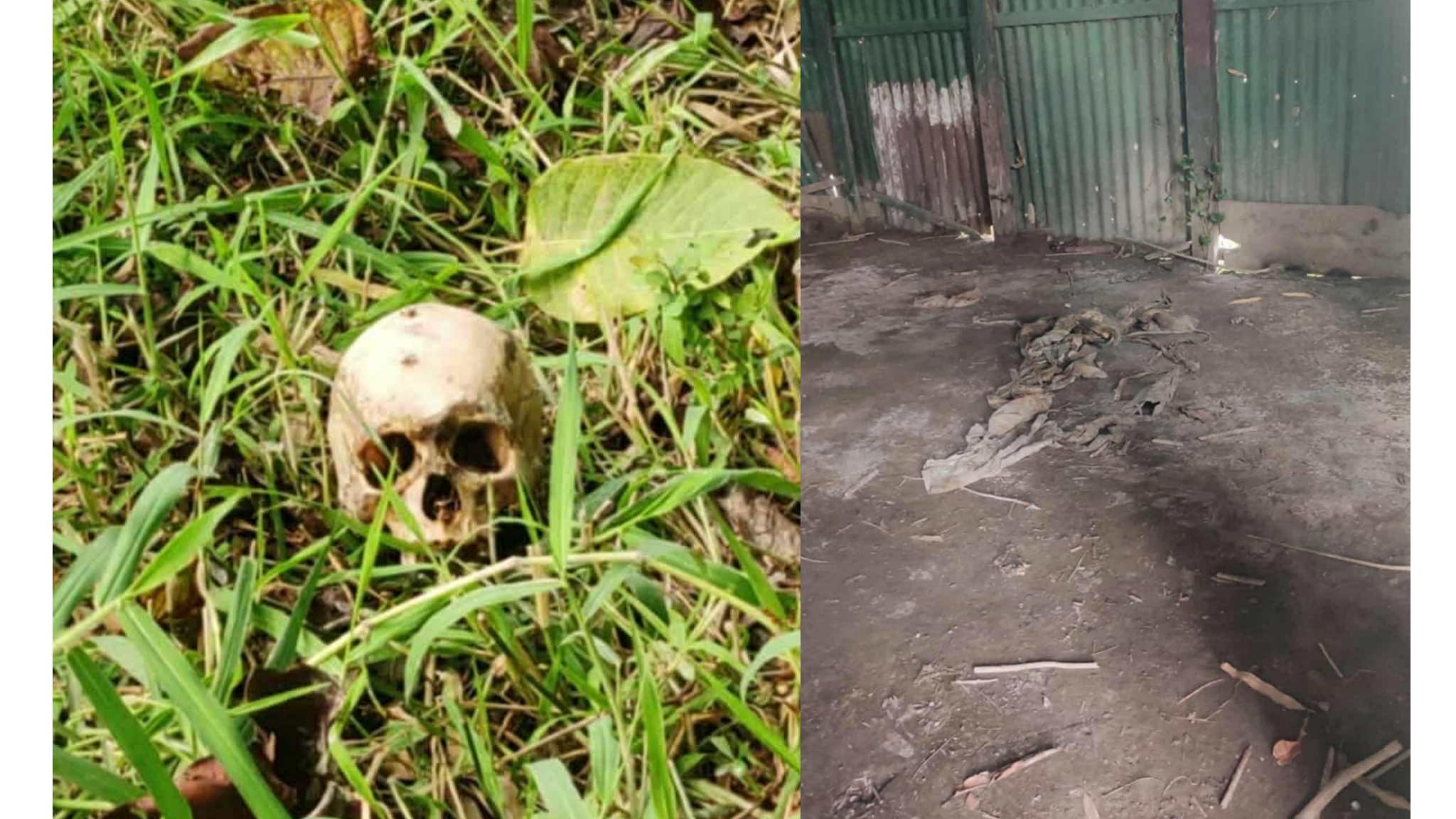 মুন্সিগঞ্জে নিখোঁজের ৪১ দিন পর মিললো বৃদ্ধের হাড়গোড়-মাথার খুলি, মামলা দায়ের