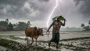 মুন্সিগঞ্জে মাঠে গরু আনতে গিয়ে বজ্রপাতে প্রাণ গেছে কৃষকের