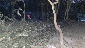 মুন্সিগঞ্জের সিরাজদিখানে ব্যক্তি মালিকানাধীন জমি দখলের চেষ্টা, কাটা হলো শতাধিক বাঁশ