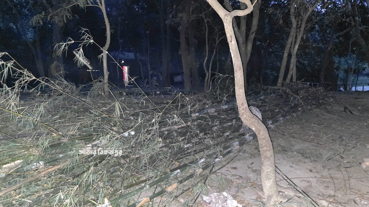 মুন্সিগঞ্জের সিরাজদিখানে ব্যক্তি মালিকানাধীন জমি দখলের চেষ্টা, কাটা হলো শতাধিক বাঁশ