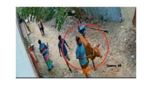মুন্সিগঞ্জে সংখ্যালঘু পরিবারের গরু চুরি করলো আ. লীগ নেতার পুত্র!