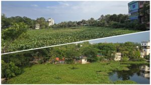মিরকাদিমের পুকুরপাড়া পরিস্কার কাল, স্থানীয়দের স্বেচ্ছাশ্রমে অংশ নিতে আহ্বান