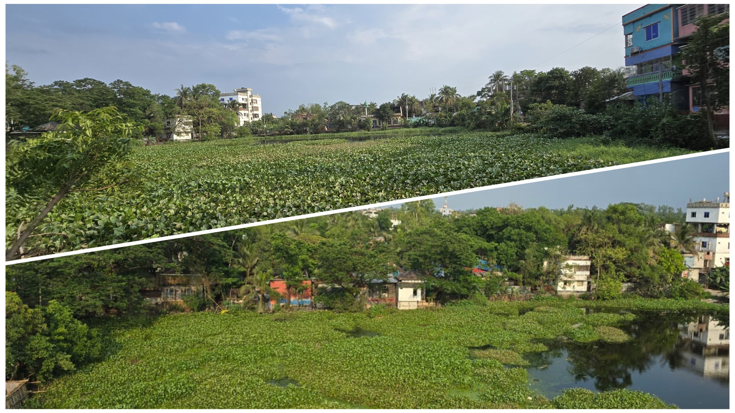 মিরকাদিমের পুকুরপাড়া পরিস্কার কাল, স্থানীয়দের স্বেচ্ছাশ্রমে অংশ নিতে আহ্বান