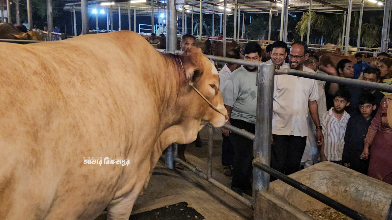এবার কোরবানিতে চাহিদার তুলনায় প্রায় ২১ লাখ ৩৪ হাজার বেশি পশু রয়েছে: মুন্সিগঞ্জে প্রাণিসম্পদ প্রতিমন্ত্রী