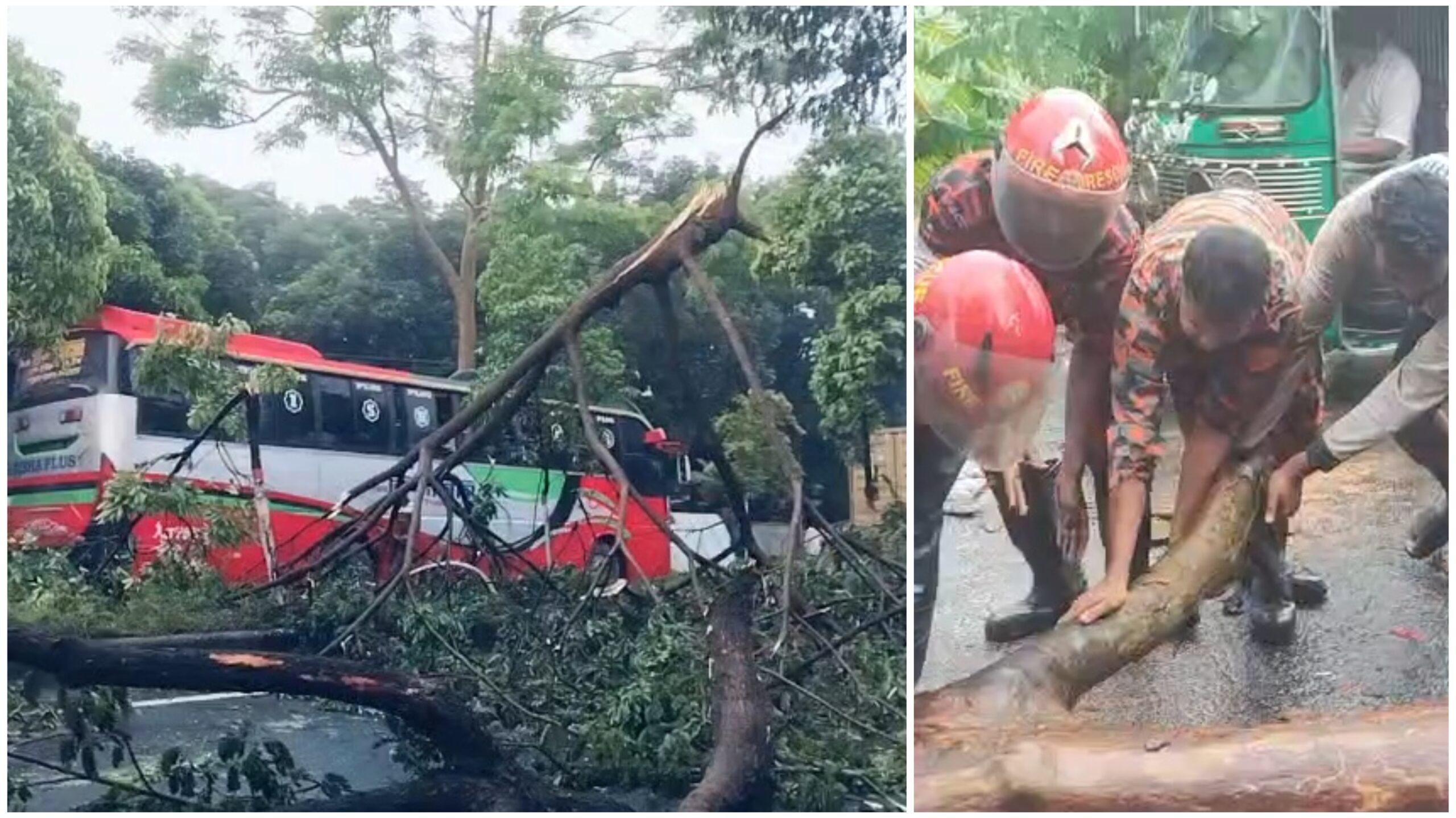 কালবৈশাখী ঝড়ে মুন্সিগঞ্জের গজারিয়া ও সিরাজদিখানে গাছ পড়ে যান চলাচল বিঘ্ন