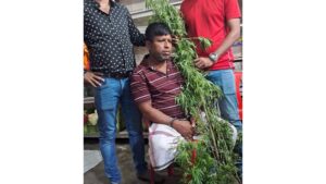 মুন্সিগঞ্জে বাড়ির উঠানে গাছ লাগিয়ে নিয়মিত গাঁজা বিক্রি করতেন তিনি, ৫টি গাছসহ গ্রেপ্তার