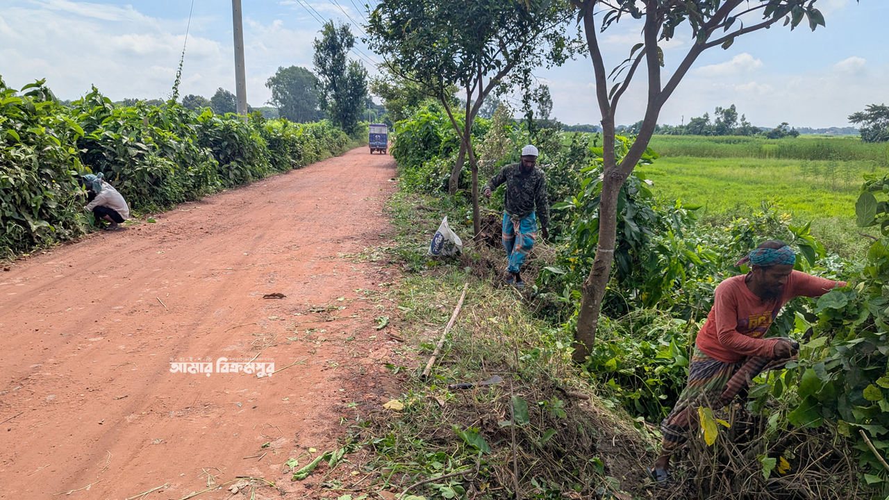 ফ্রান্স প্রবাসী রহিম মোল্লার উদ্যোগে আলদি-মাকহাটি সড়ক পরিষ্কার ও বৃক্ষরোপণ