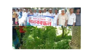 মুন্সিগঞ্জে মাদকবিরোধী র্যালি শেষে ৬ গাঁজা গাছ উদ্ধার করলো স্থানীয়রা
