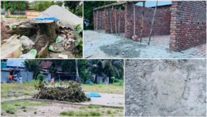মুন্সিগঞ্জে মার্কেটের সামনে সৌন্দর্য বাড়াতে সরকারি গাছ কাটলেন আ. লীগ-বিএনপি নেতা!