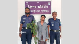 মুন্সিগঞ্জে বাড়িতে গাঁজা গাছ লাগিয়ে পরিচর্যা করছিলেন এক ব্যক্তি, ধরলো পুলিশ