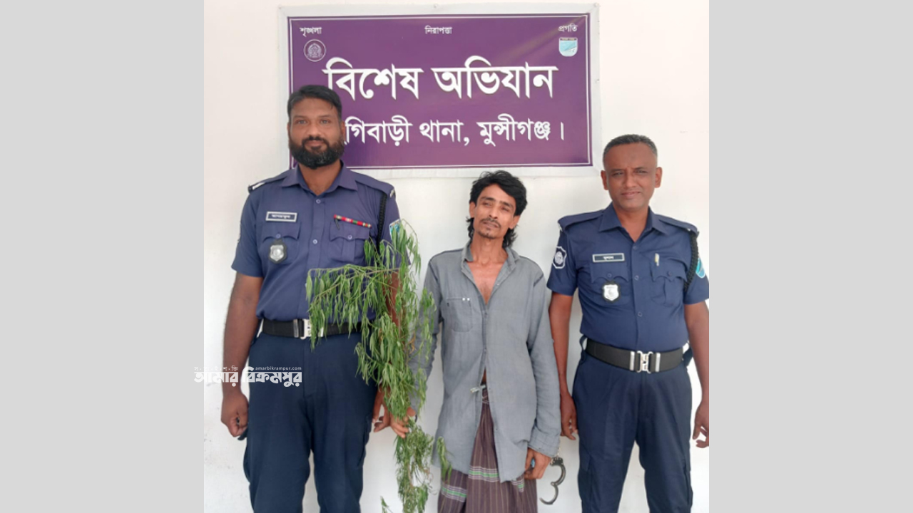 মুন্সিগঞ্জে বাড়িতে গাঁজা গাছ লাগিয়ে পরিচর্যা করছিলেন এক ব্যক্তি, ধরলো পুলিশ