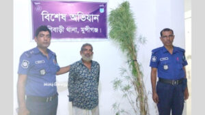 মুন্সিগঞ্জে ফলের গাছের আড়ালে পাওয়া গেল ৭ ফুট গাঁজা গাছ, গ্রেপ্তার বৃদ্ধ