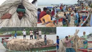 বিদেশে রপ্তানি ও বৈদেশিক মুদ্রা অর্জনে ভূমিকা রাখছে দিঘিরপাড়ের পাটের হাট
