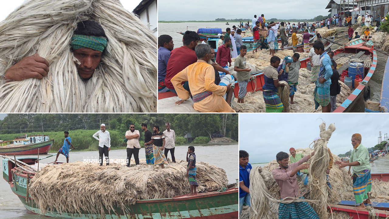 বিদেশে রপ্তানি ও বৈদেশিক মুদ্রা অর্জনে ভূমিকা রাখছে দিঘিরপাড়ের পাটের হাট